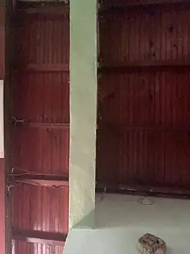 SOYMRX online show from January 4, 4:11 pm