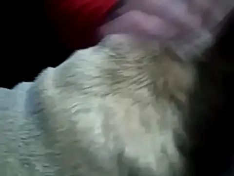 missthickness35 Pika online show from January 13, 3:45 am