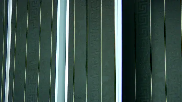 SophiaVilner online show from April 8, 6:52 pm