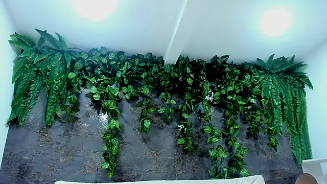 alice greco online show from November 24, 5:01 pm