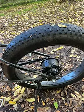 Snapshot of Shyboy817 chatting on October 28, 2:20 pm Shyboy817 online show from October 28, 2:20 pm