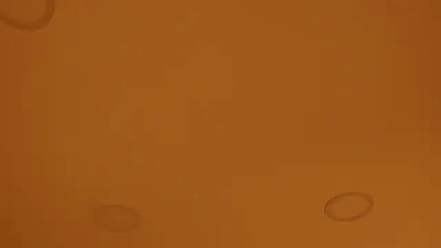 nakamura sam online show from April 8, 10:04 am