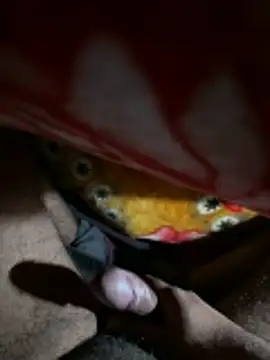 delhiboyz1 online show from January 7, 1:30 am