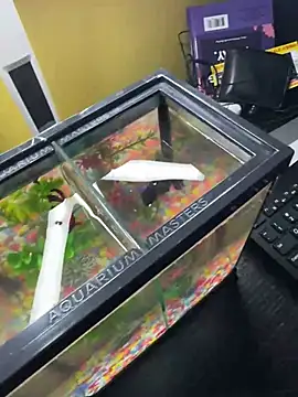 VFuck4U xxx online show from March 10, 1:21 pm