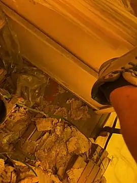 cussy007 online show from April 13, 10:10 am