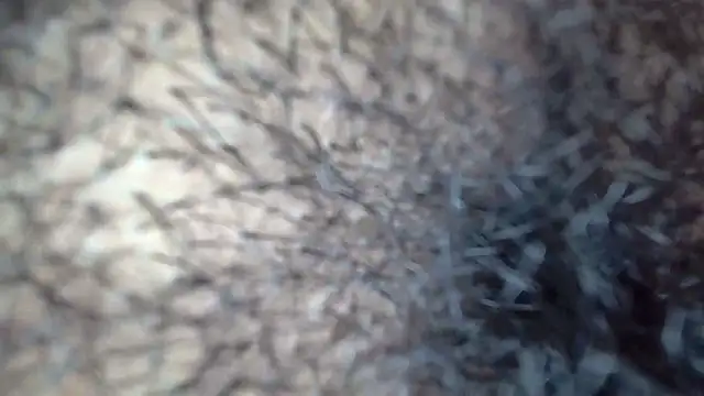 white sexy  online show from November 29, 11:41 pm