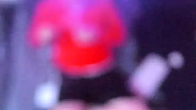 stillwild online show from July 14, 4:06 am
