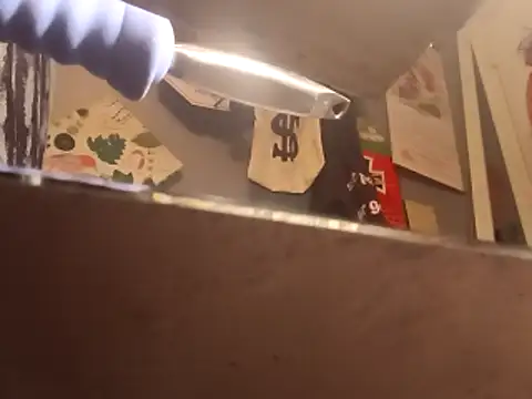 lubme online show from November 12, 12:05 pm