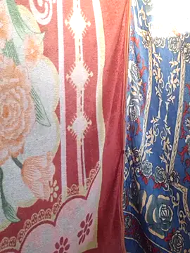 Snapshot of Burhade-- chatting on March 9, 2:15 am Burhade-- online show from March 9, 2:15 am