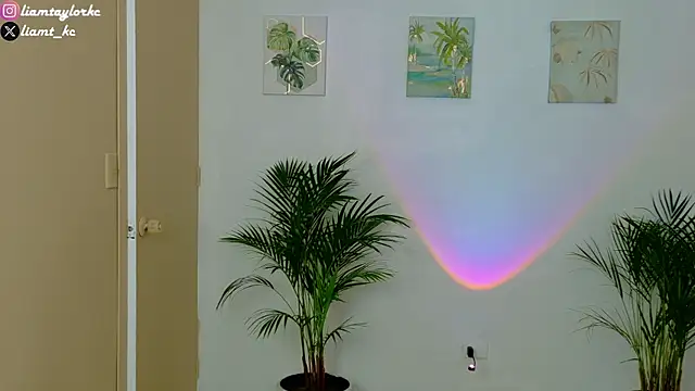 Snapshot of Liam_Taylor chatting on December 3, 10:19 pm Liam Taylor online show from December 3, 10:19 pm