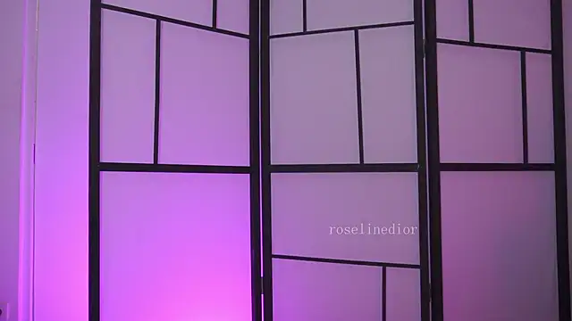 roselinedior online show from February 27, 7:36 pm