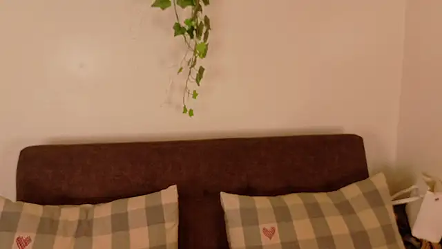 Snapshot of eva_daemon chatting on May 6, 12:10 pm eva daemon online show from May 6, 12:10 pm