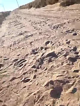 Snapshot of prettyboi6992 chatting on March 1, 11:51 pm prettyboi6992 online show from March 1, 11:51 pm