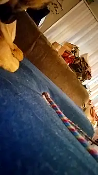 Snapshot of fukurbutt chatting on February 19, 3:41 pm fukurbutt online show from February 19, 3:41 pm