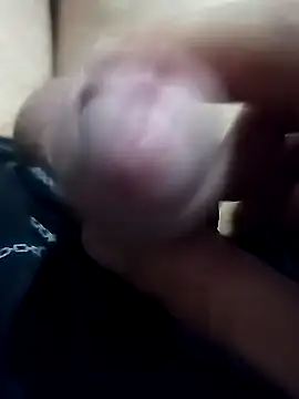 El22 1431 online show from January 18, 2:47 am