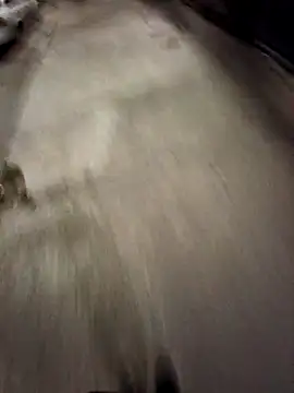 Snapshot of BandidodeAmores_84 chatting on October 19, 3:07 am BandidodeAmores 84 online show from October 19, 3:07 am