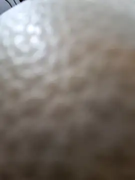 Snapshot of Kamarasa69 chatting on December 18, 8:53 am Kamarasa69 online show from December 18, 8:53 am