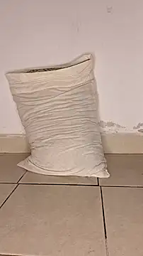 Snapshot of Perqueen chatting on November 7, 5:57 pm Perqueen online show from November 7, 5:57 pm