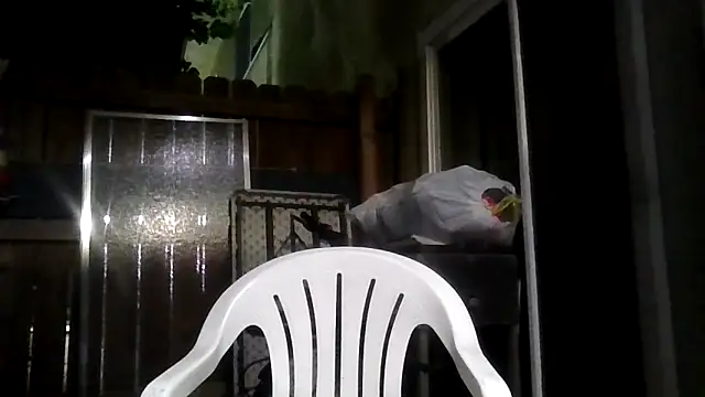 MrDickUdown24 7 online show from February 9, 4:05 am