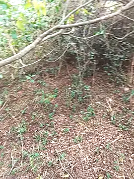 HathodaTyagi123 online show from December 8, 7:37 am