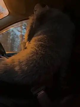 StasyWood online show from November 27, 2:02 am