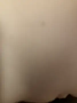 Snapshot of Beijing2000 chatting on November 13, 1:37 am Beijing2000 online show from November 13, 1:37 am