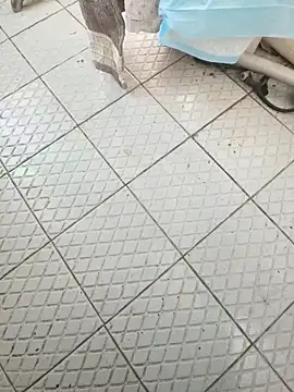 Snapshot of Beijing2000 chatting on November 26, 6:03 am Beijing2000 online show from November 26, 6:03 am