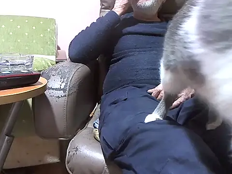 zormen355 online show from April 7, 6:30 pm