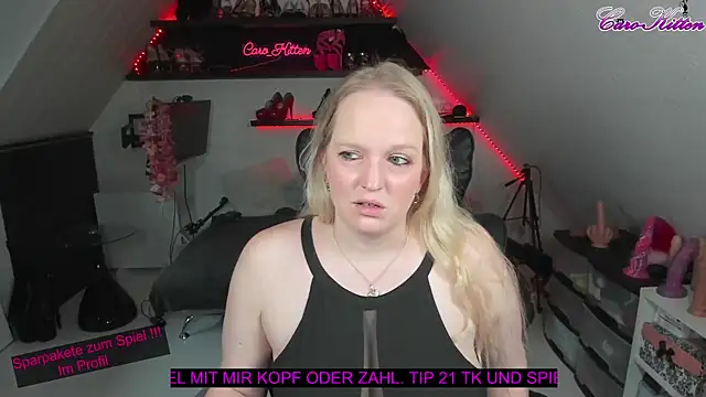 caro kitten online show from January 25, 11:13 am