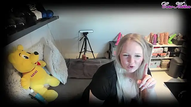 caro kitten online show from March 21, 8:17 am