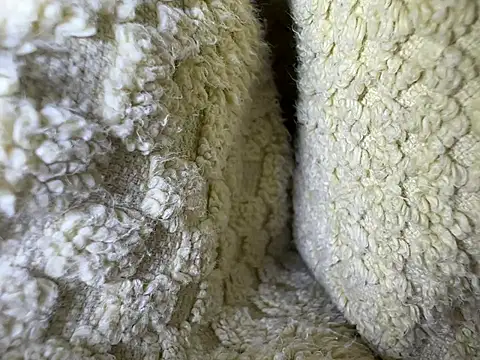 Amarok39 online show from February 13, 12:54 pm