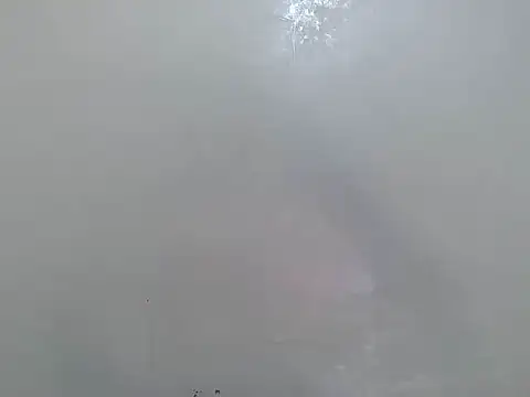 Rasta tattooed online show from March 18, 6:11 pm