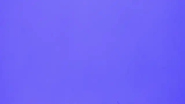 brenda sofia2 online show from November 21, 3:11 pm