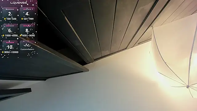 FaloonRoussel online show from November 30, 6:12 pm