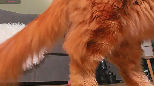 mistresslecter online show from March 22, 3:54 am