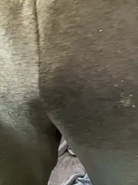 Enos3 online show from April 16, 11:55 am