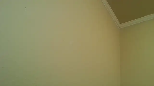 Snapshot of YelpedAverting chatting on December 17, 12:49 am YelpedAverting online show from December 17, 12:49 am