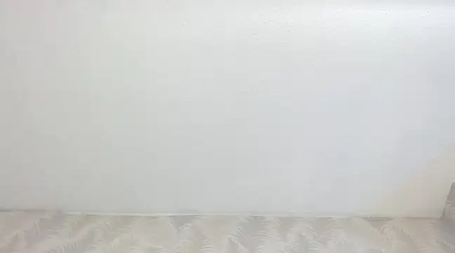 KasandraPhillips online show from February 13, 10:33 pm