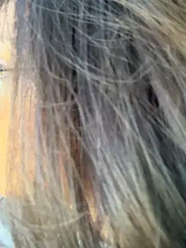 miacanela xo online show from October 11, 10:08 pm