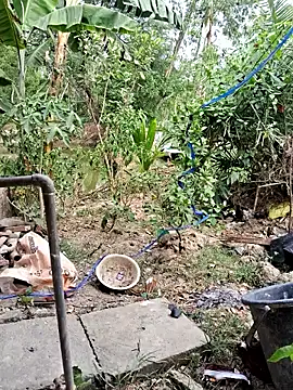 HotSexyBoudi online show from April 18, 8:51 am