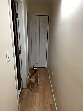 Snapshot of DaddySnowXX chatting on December 16, 11:33 am DaddySnowXX online show from December 16, 11:33 am