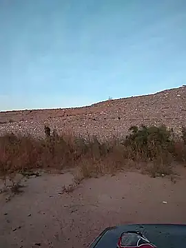 Snapshot of FloppyPickle4u chatting on February 2, 2:56 pm FloppyPickle4u online show from February 2, 2:56 pm