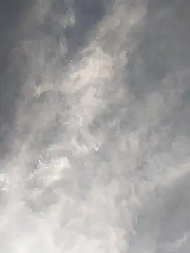 Snapshot of FloppyPickle4u chatting on February 17, 11:42 pm FloppyPickle4u online show from February 17, 11:42 pm