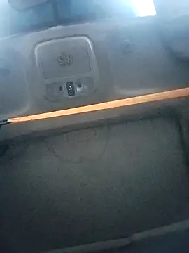 Snapshot of FloppyPickle4u chatting on November 5, 3:56 pm FloppyPickle4u online show from November 5, 3:56 pm