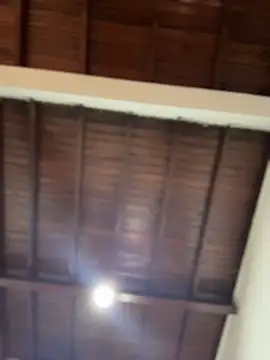 emiss  online show from December 2, 3:51 pm