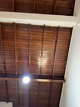 emiss  online show from February 4, 3:18 pm