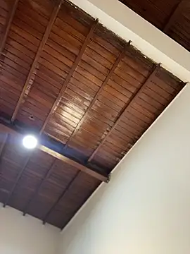 emiss  online show from February 7, 3:16 pm