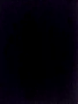 BongChannel online show from January 1, 11:40 pm