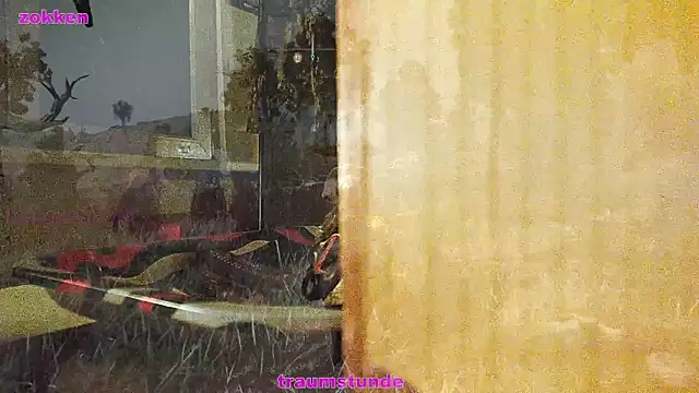 BongChannel online show from January 21, 6:43 am