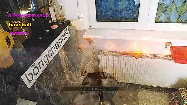 BongChannel online show from January 30, 4:34 pm